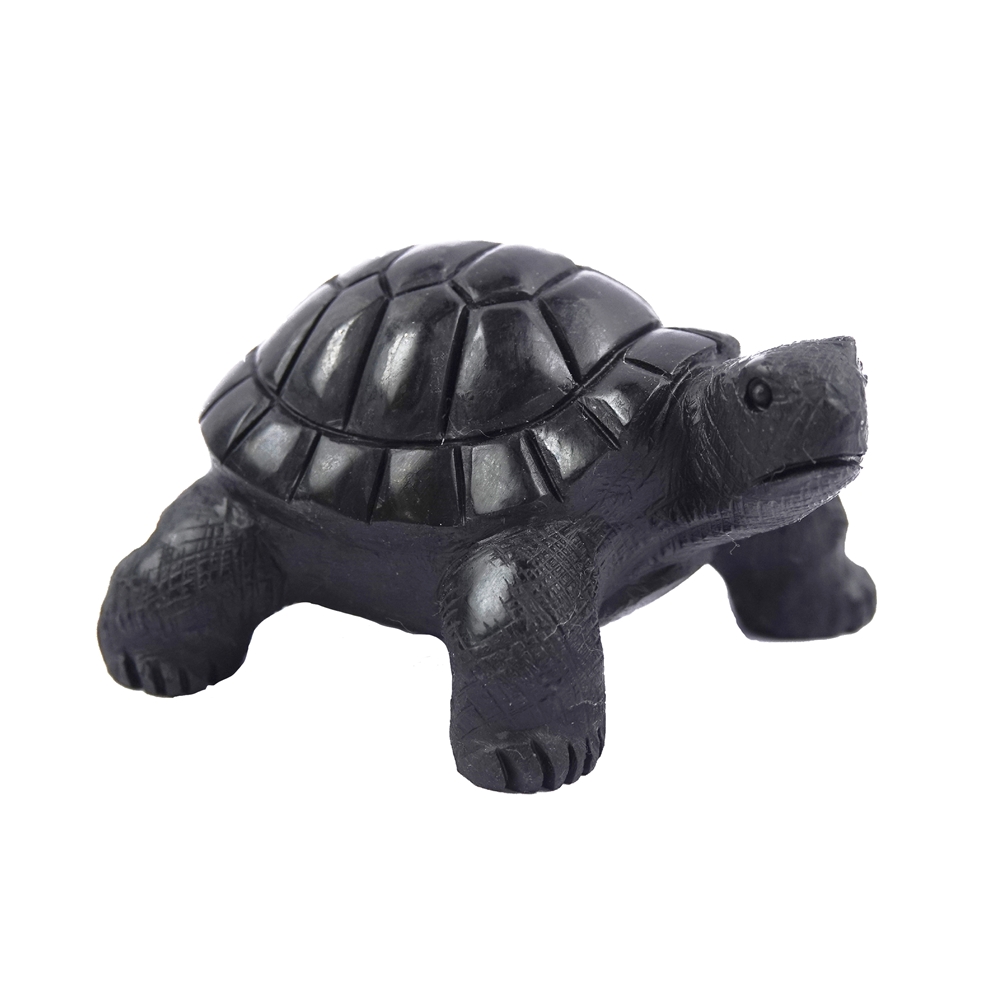 Gravure Tortue, Shungite, 4,5cm