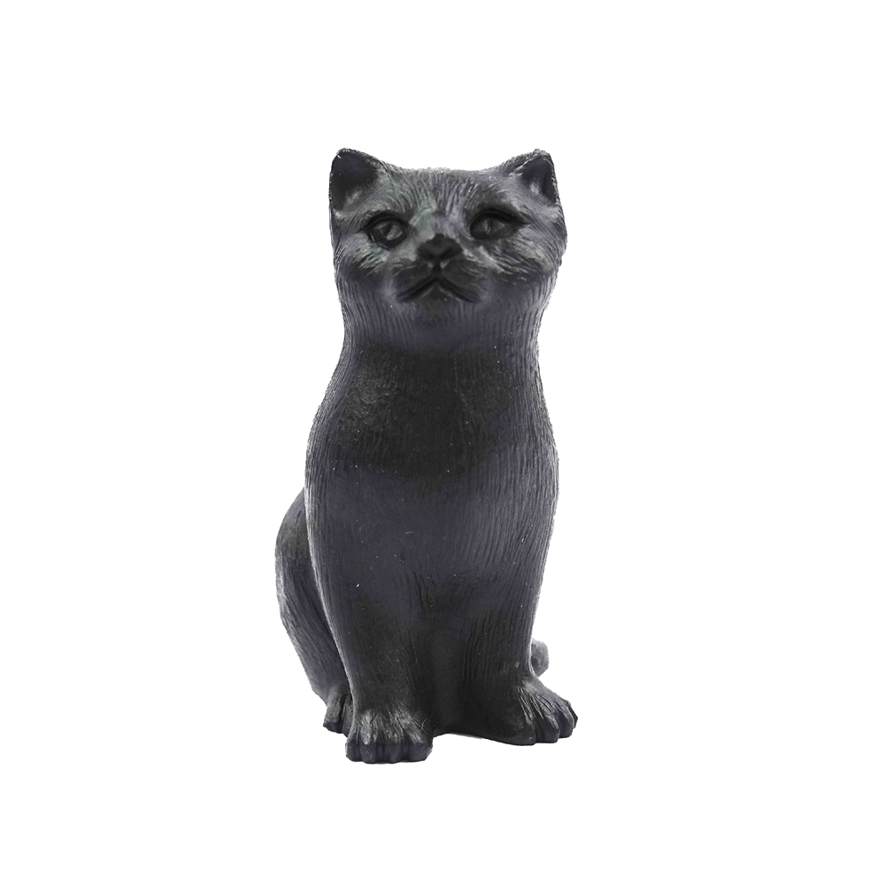 Shungita de gato, 6,0cm | tienda de piedras preciosas, piedras curativas y joyas