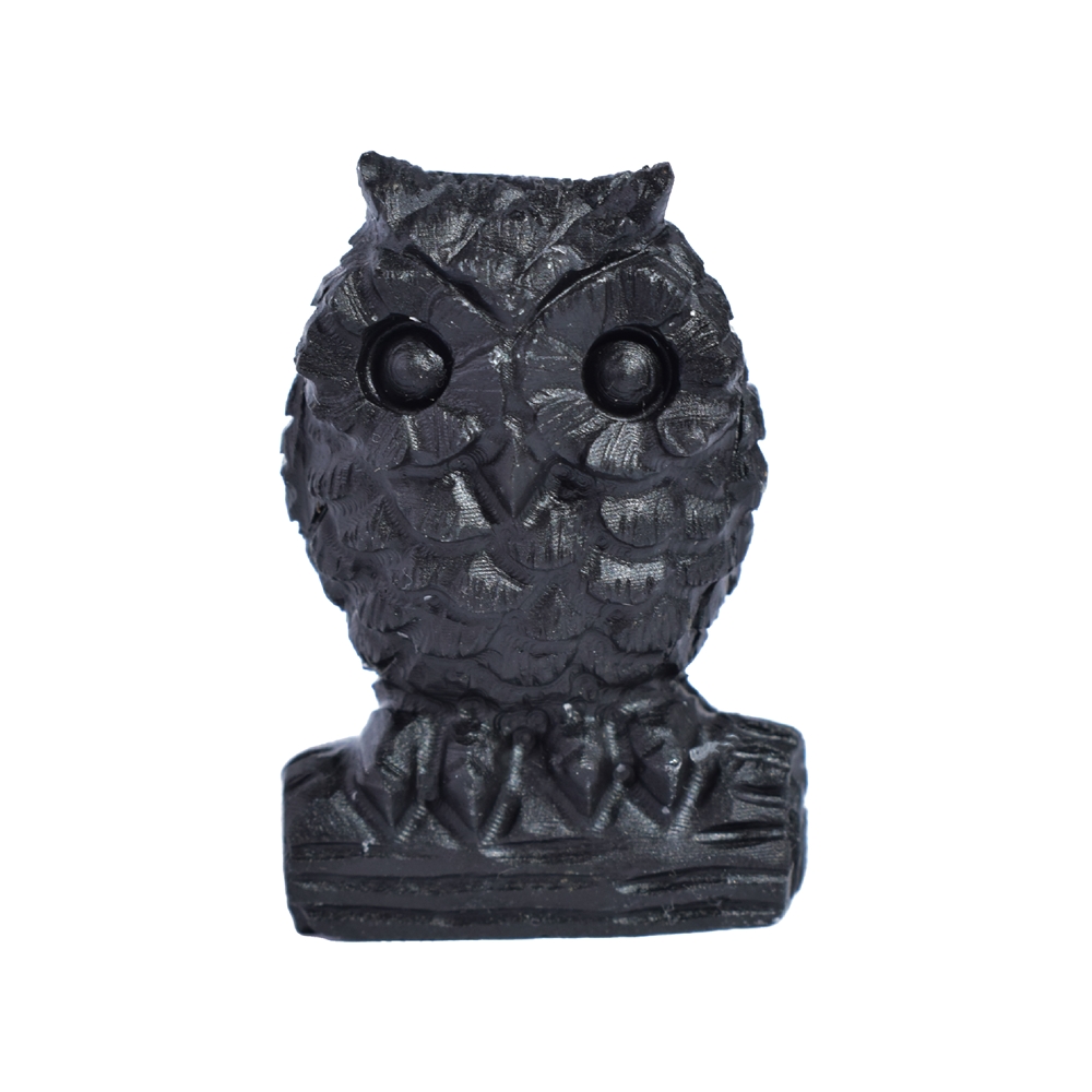 Engraved bird (owl on branch), Shungite, 5.0cm