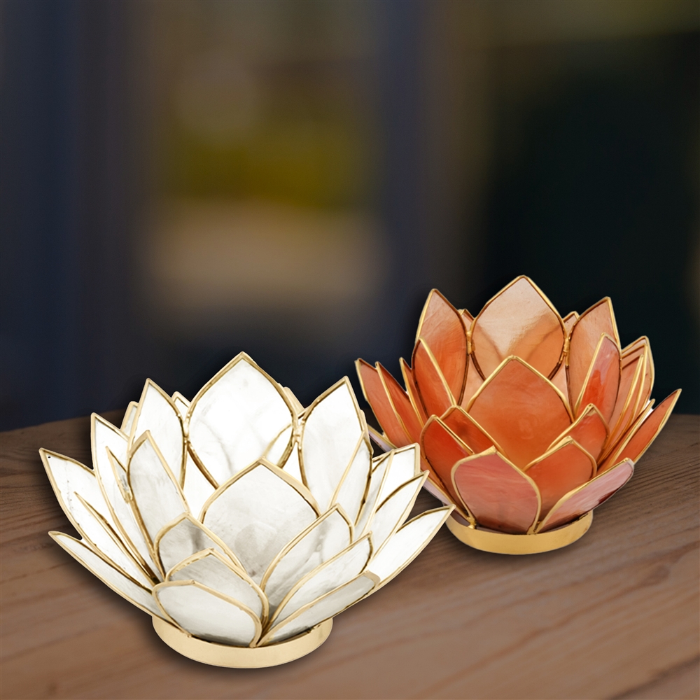 Tea light lotus capiz shell orange