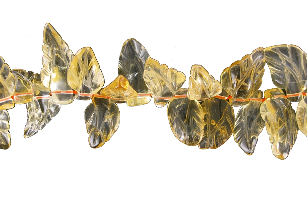 Rang de collier feuille, citrine (cuite), 14-16 x 24-30mm