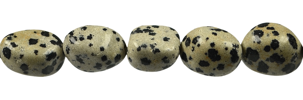 Rang de collier Nugget, Jaspe dalmatien, 12-16 x 10-14mm