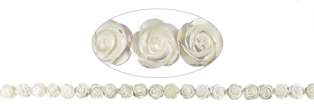 Rang de colliers Rose, nacre (claire), 12mm