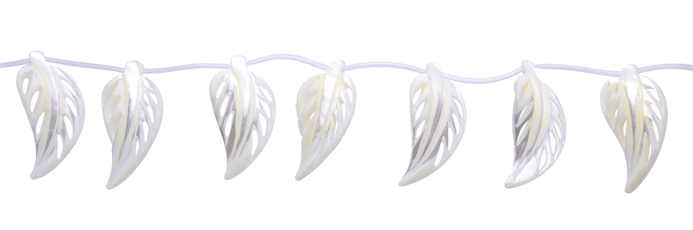 Strand of leaves, Mother of Pearl (light), 20 x 40mm