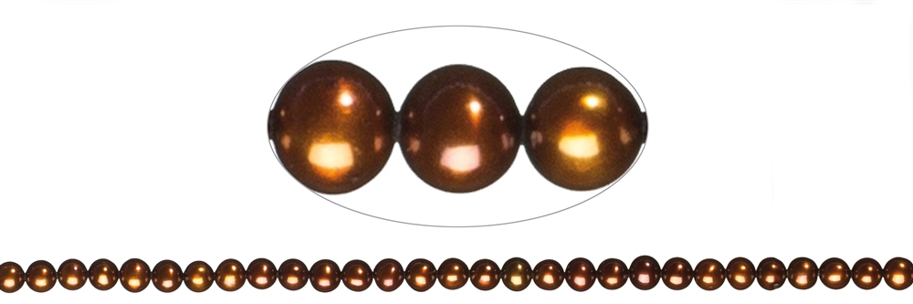 Round strand, freshwater pearl A, brown (dyed), 05.5-06mm