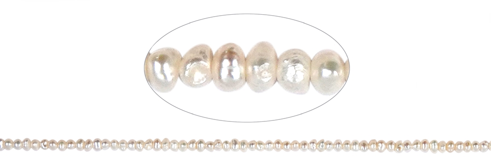 Filo di bottoni, perle d'acqua dolce, 03,5 - 04 mm