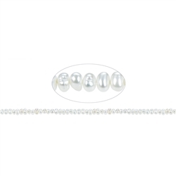 141840301820 Button strand, freshwater pearl, 04.5mm | wholesaler gems & healing stones