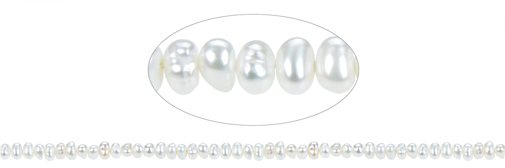 Button strand, freshwater pearl, 04.5mm