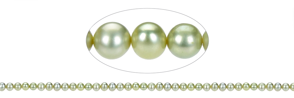 Strang Potatoe, Süßwasser-Perle A, grün (gef.), 04-05mm
