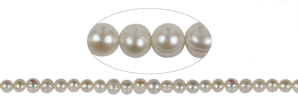 Filo Potatoe, perla d'acqua dolce AB, bianco-crema, 07-08mm Attualmente esaurito; riserviamo il vostro ordine!