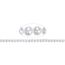 141840307044 Strand Potatoe round, freshwater pearl A , white-cream, 07-08mm | Marco Schreier