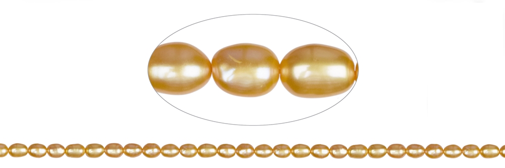 Filo di perle d'acqua dolce a grani di riso, giallo oro (tinte), 06-07 x 05-06 mm