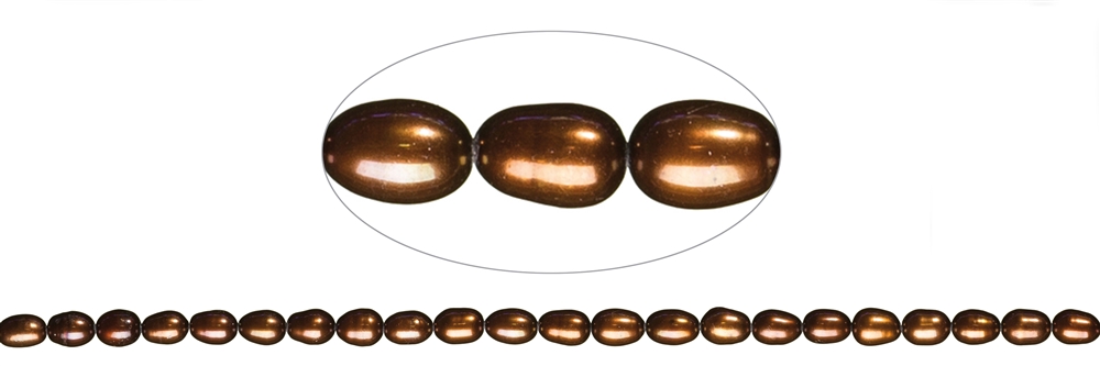 Strand of rice grain, freshwater pearl A, brown (dyed), approx. 08-09mm