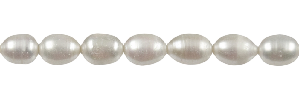 Filo di perle d'acqua dolce a grani di riso C, bianche, 08-09mm