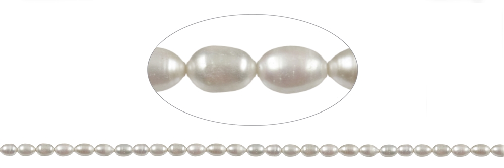 Filo di perle d'acqua dolce a grani di riso, bianco-crema, 05-06 x 02-03 mm (38 cm)