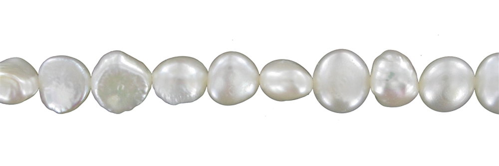filo piatto a forma libera, perla d'acqua dolce AB, bianco-crema, 08-09 mm