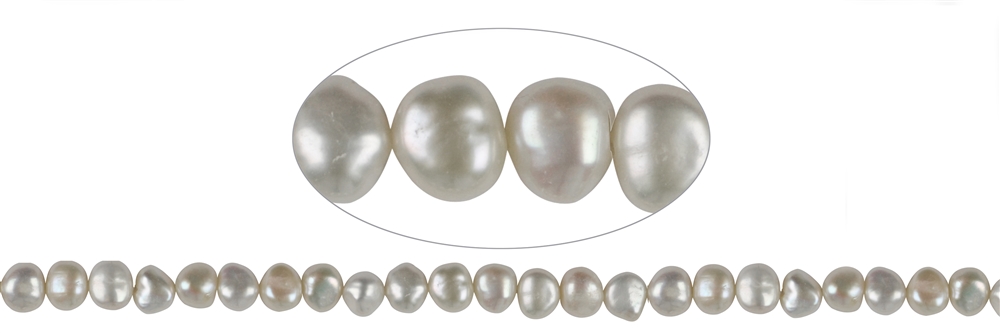 Rang de collier Freeform, perle d'eau douce AB, blanc-crème, 08-09mm