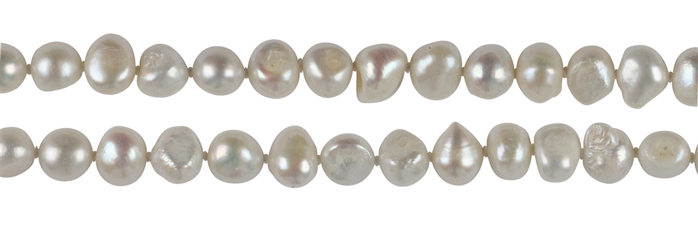 Filo libero piatto/rotondo, perla d'acqua dolce AB, bianco-crema, 08-10 mm, circa 160 cm 