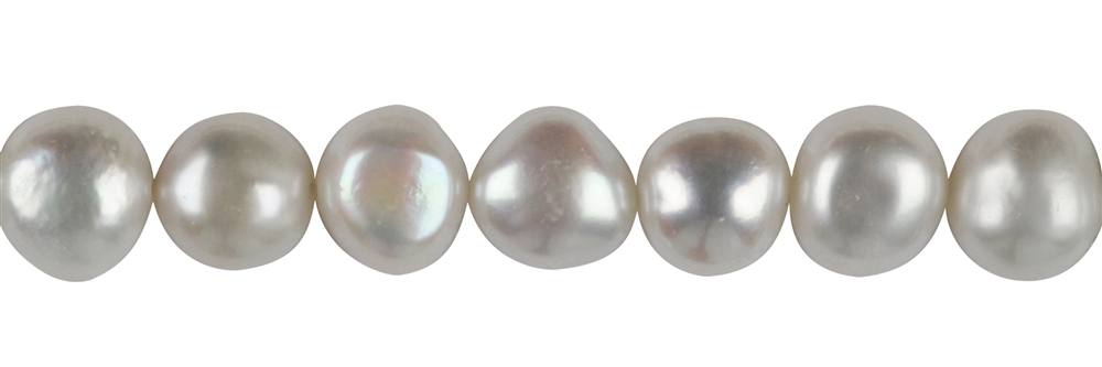 Rang de collier Freeform, perle d'eau douce A, blanche, 10-11mm