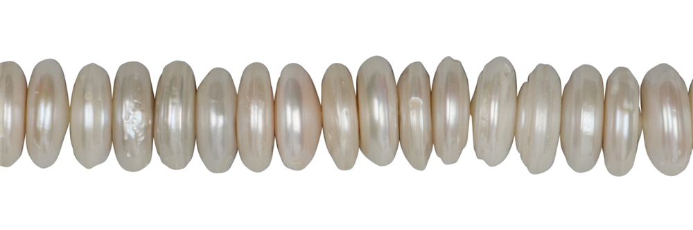 Strand of discs, freshwater pearl A/B, cream-white, 04-08 x 14-15mm