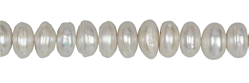 Rang de collier disques, perle d'eau douce AB, blanc-crème, 05-08 x 13-15mm