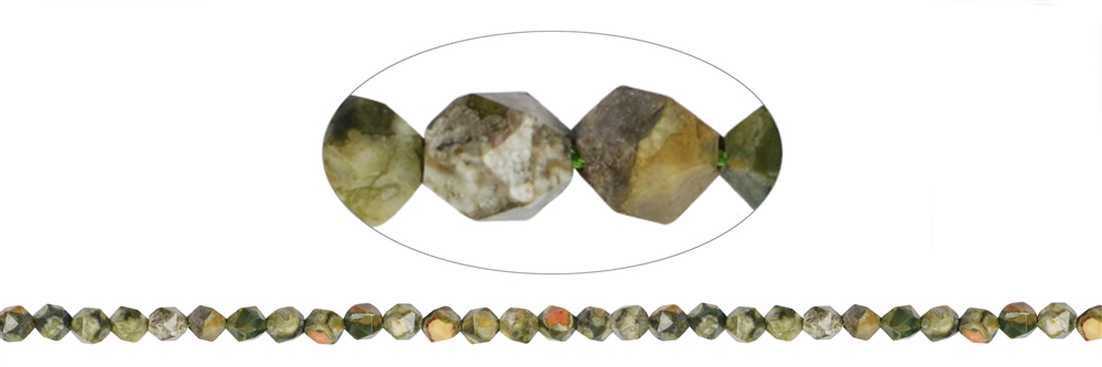 Fili di perline, riolite (riolite della foresta pluviale), sfaccettate (Starcut), 05-06 mm