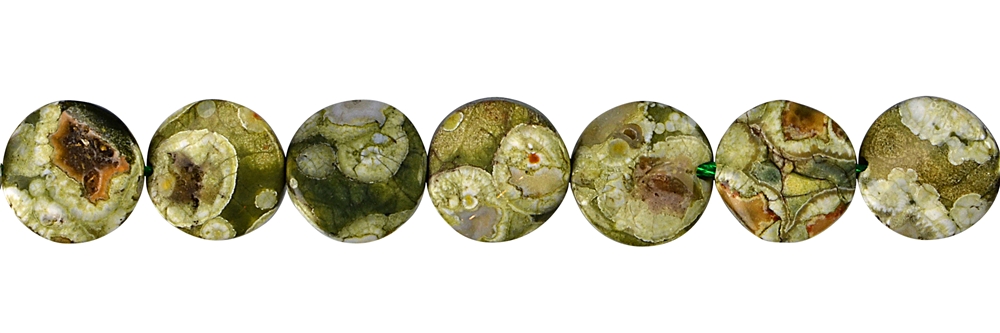 Filone Moneta ritorta, riolite (riolite della foresta pluviale), 10 x 04 mm