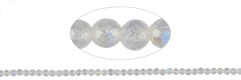 Filo di perle, labradorite (bianca), sfaccettata, 02,5 mm (38 cm)