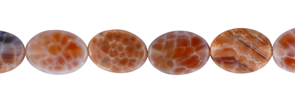 Strang Linse, Achat (Schlangenachat) orange (gef.), 18 x 13mm, facettiert