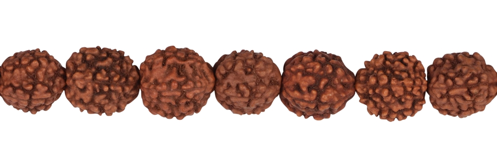 Rang de collier boules, Rudraksha (brun rouge), 10mm 