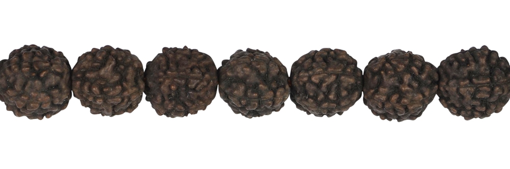 Rang de collier boules, Rudraksha (brun noir), 10mm