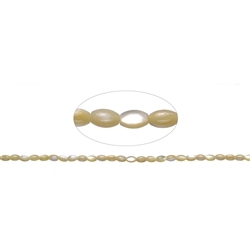 145880513720 Strang Reiskorn, Perlmutt (gelb), 05 x 03mm | Edelsteine, Heilsteine & Schmuck