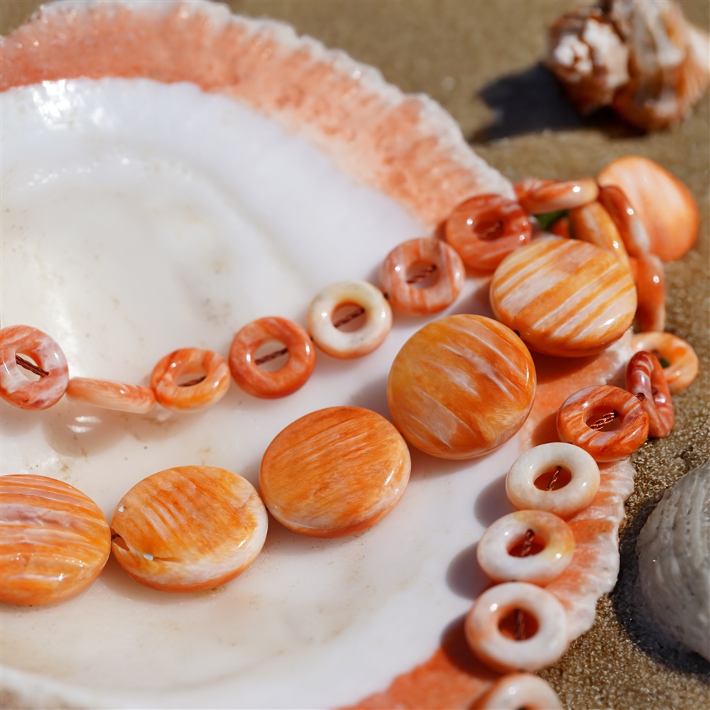 Strand Lense flat, Spiny Oyster, 10 x 08mm | wholesaler gems & healing stones