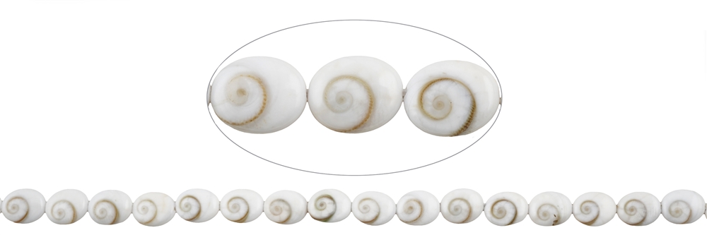 Shiva's Eye strand, oval (10 x 8mm) | wholesaler gems, healing stones & jewelry