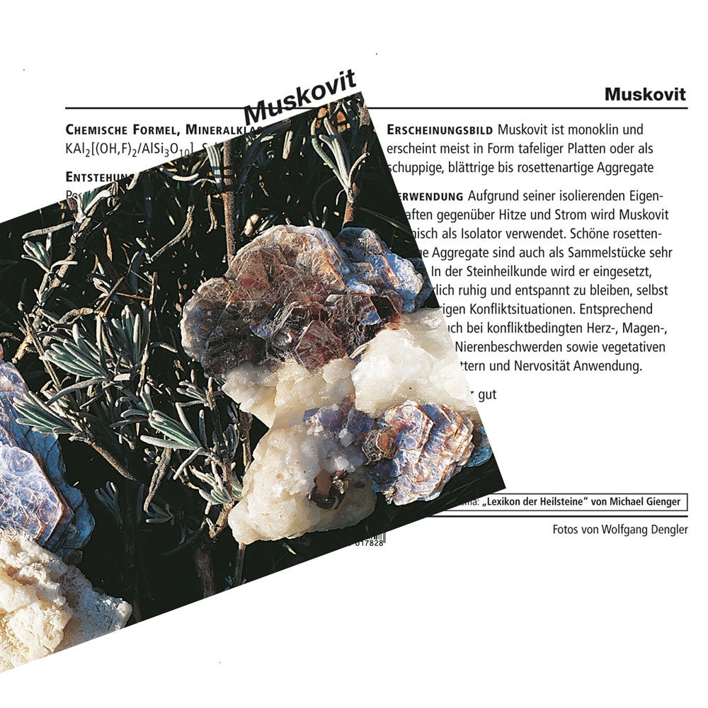 Carte des minéraux Muscovite (lot de 10 pièces)