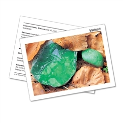 1516002000 Mineral Card Variscite (PU with 10 pieces) | wholesaler gems & healing stones