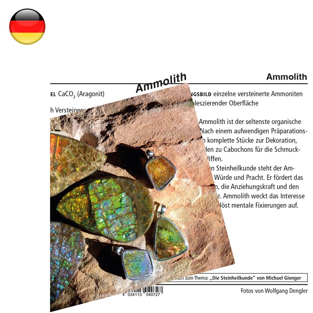 Scheda minerale Ammolite (PU con 10 pezzi)