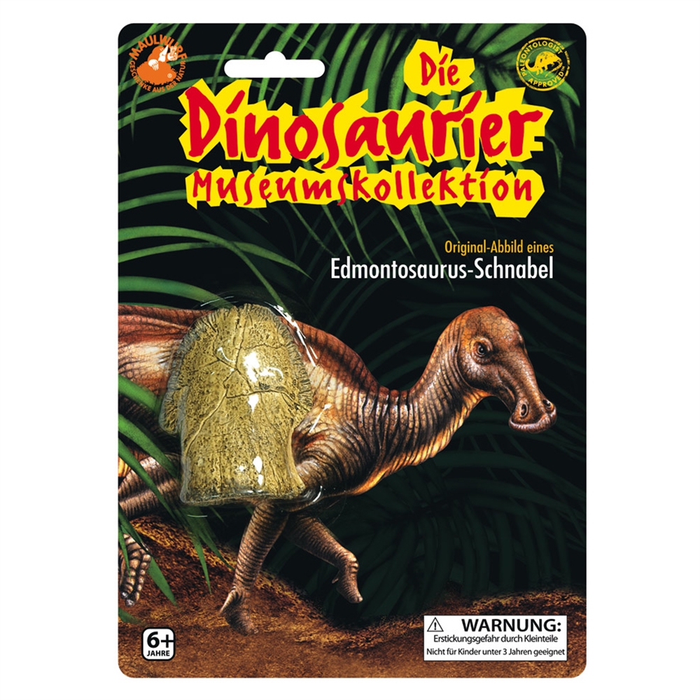 Réplique de bec d'Edmontosaurus