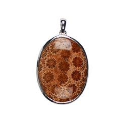 242005170050 Petrified Coral Oval Pendant, 5,2cm | wholesaler gems, healing stones & jewelry