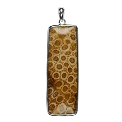 242005170067 Petrified Coral Rectangle Pendant, 6,0cm | wholesaler gems & healing stones