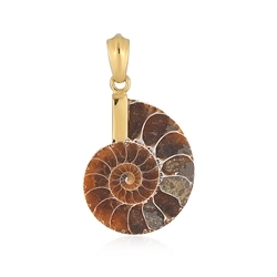 242009230308 Ammonite pendant (26 x 21mm), 3.5cm, gold-plated | Marco Schreier