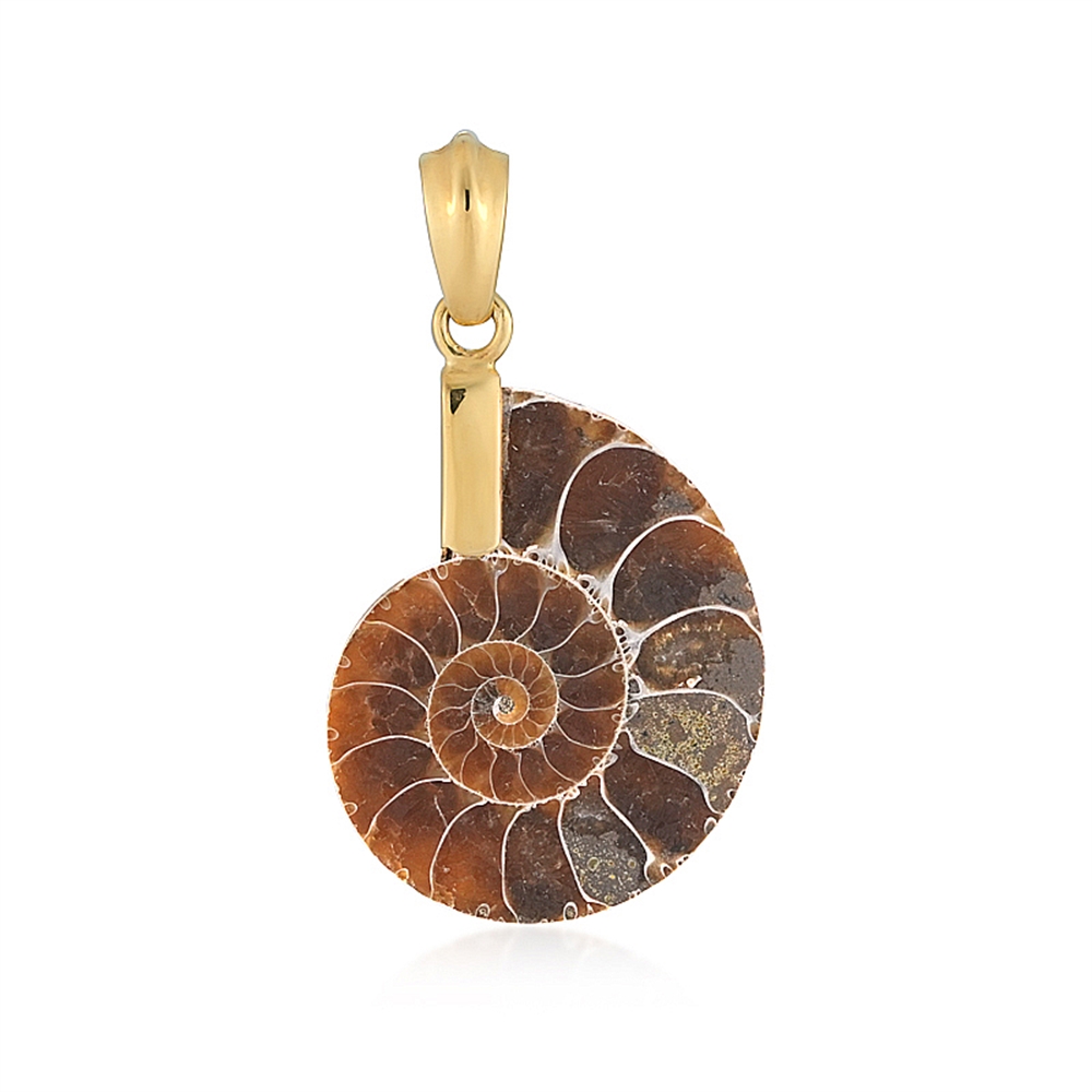 Ciondolo in ammonite (26 x 21 mm), 3,5 cm, placcato oro