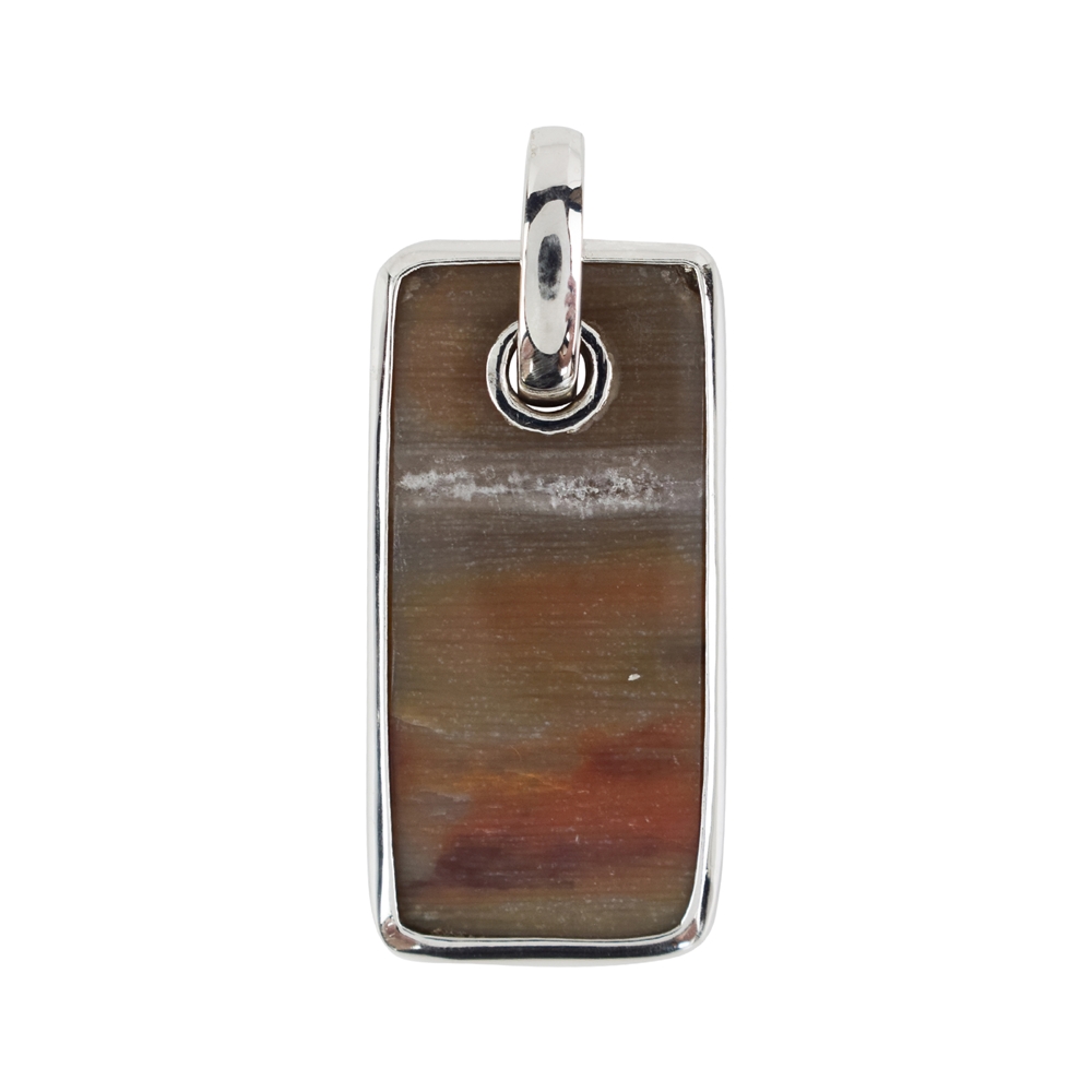 Petrified Wood rectangle pendant with frame and loop, 4,4cm, rhodium plated