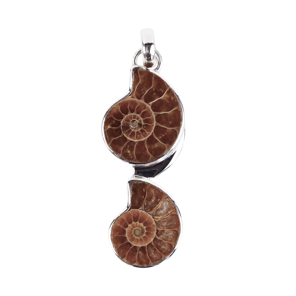 Pendant two ammonites, 5,3cm, rhodium plated