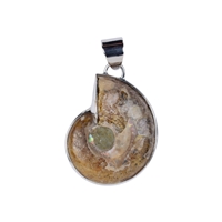 Anhänger Ammonit, 4,3cm, rhodiniert