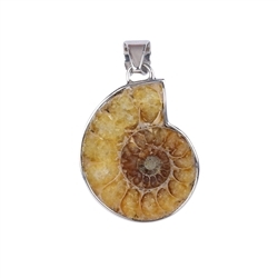 242018210161 Pendant ammonite, 4,3cm, rhodium plated | wholesaler gems & healing stones