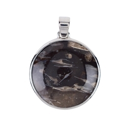 242018210211 Pendant prairie Agate (plant fossil), 4.2cm, rhodium plated | Marco Schreier