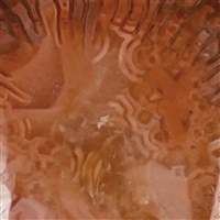 Ciondolo, corallo (17 x 14 mm), 2,6 cm, rodiato