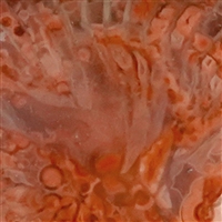 Ciondolo, corallo (20 mm 18 mm), 4,8 cm, rodiato