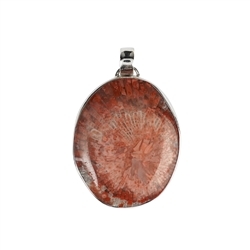 242018220105 Pendant, horn coral (28 x 23mm), 3,8cm, rhodium plated | Marco Schreier